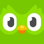 Duolingo language lessons MOD Premium Unlocked