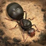 The Ants Underground Kingdom MOD APK VARY Unlimited Money