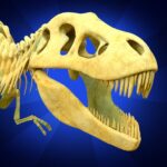 Dino Quest 2 Dinosaur Games MOD APK 1.23.25 Unlimited Money