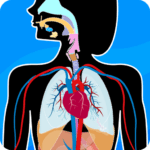 Human Anatomy MOD APK 2024.5.0 (Unlimited Money)