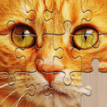 Jigsaw puzzles for everyone MOD APK 2024.09.16 Unlimited Money