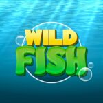 Wild Fish MOD APK 25 (Unlimited Money)